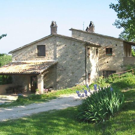 Agriturismo Frallarenza 피쿨레 외부 사진
