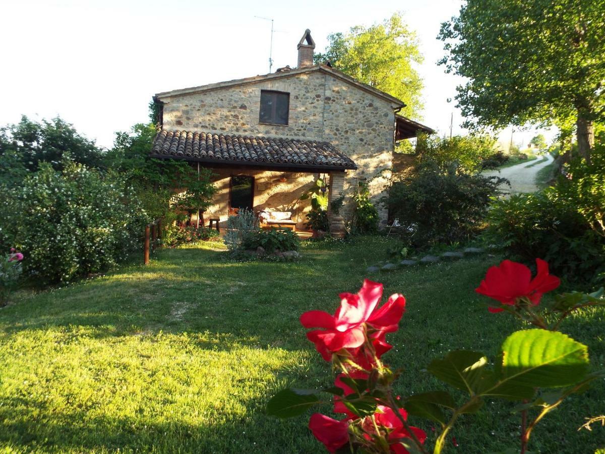 Agriturismo Frallarenza 피쿨레 외부 사진