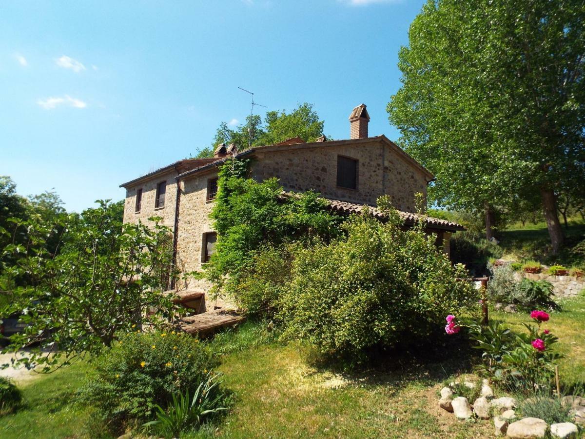 Agriturismo Frallarenza 피쿨레 외부 사진