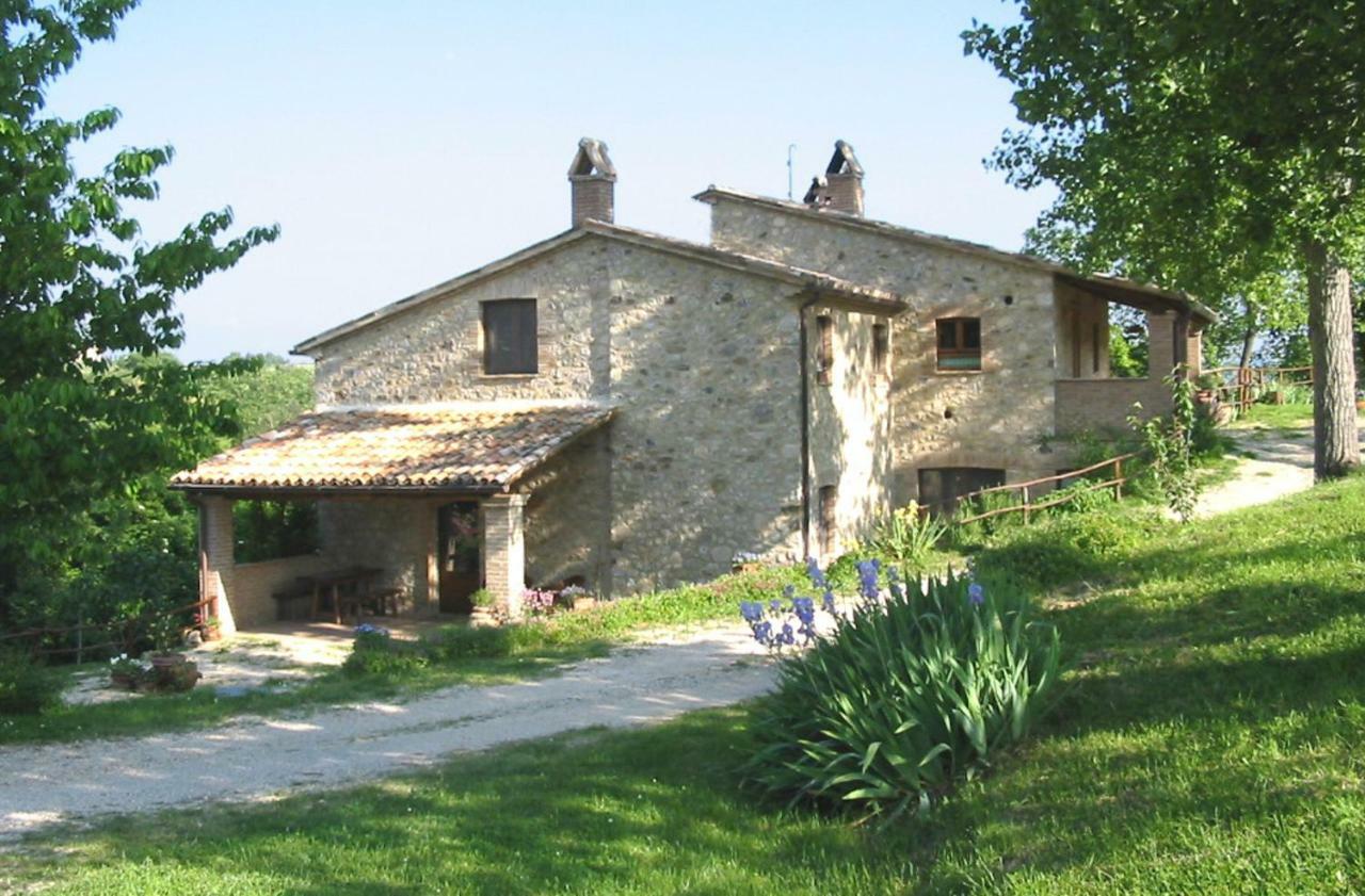 Agriturismo Frallarenza 피쿨레 외부 사진