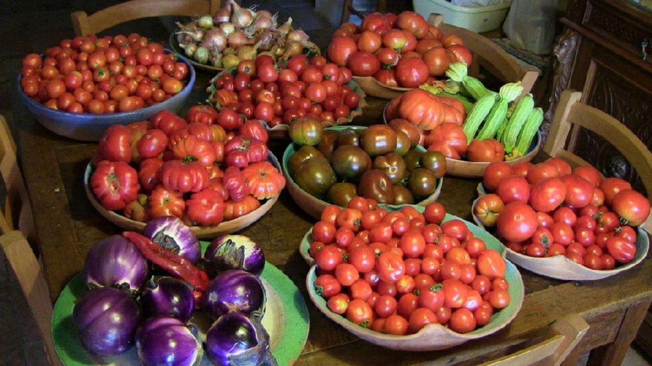 Agriturismo Frallarenza 피쿨레 외부 사진