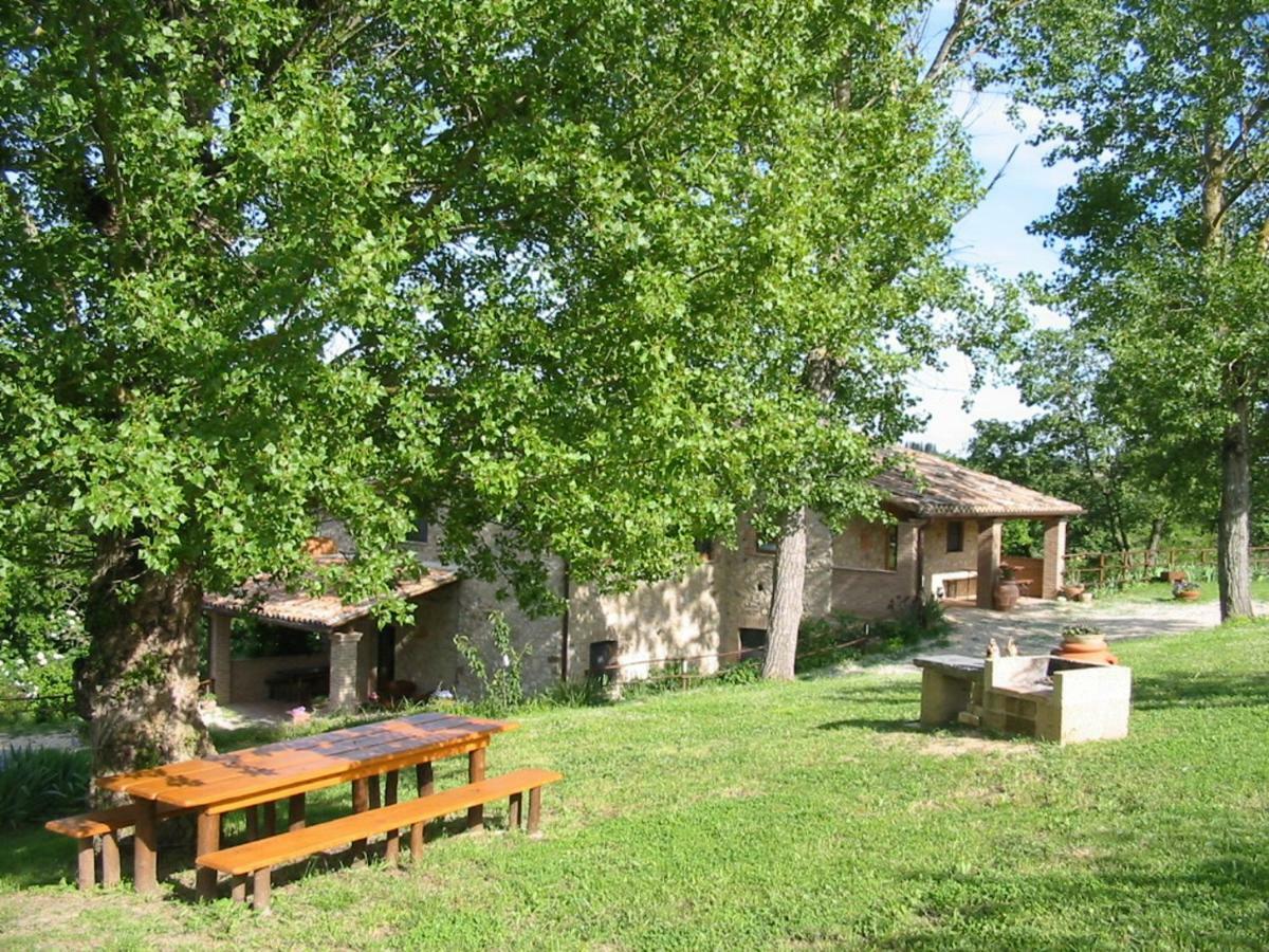 Agriturismo Frallarenza 피쿨레 외부 사진
