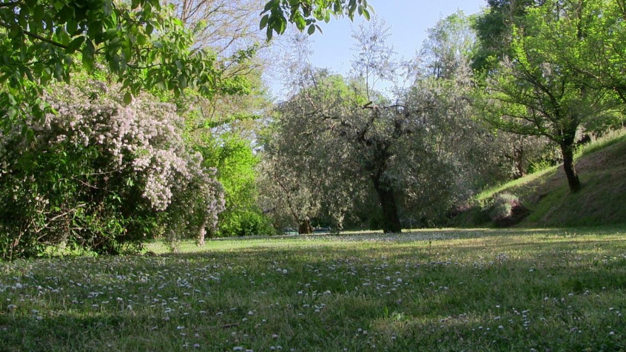 Agriturismo Frallarenza 피쿨레 외부 사진