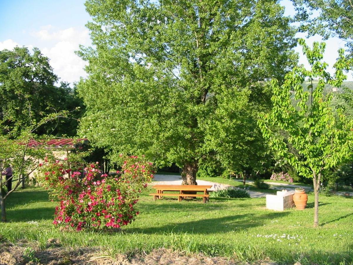 Agriturismo Frallarenza 피쿨레 외부 사진