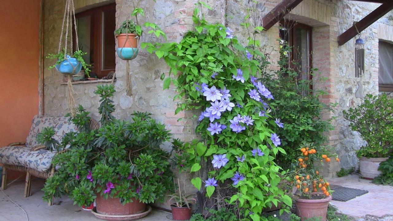 Agriturismo Frallarenza 피쿨레 외부 사진
